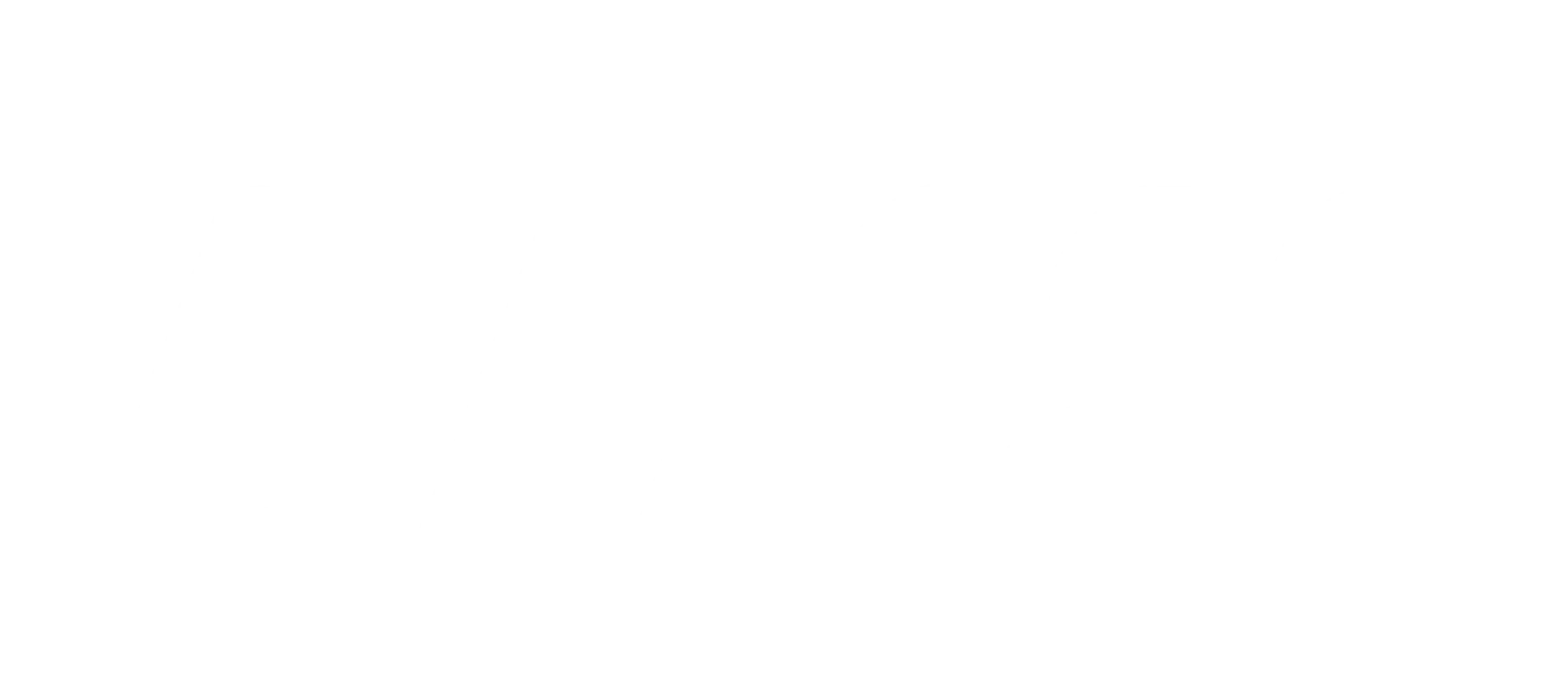 BH Telecom