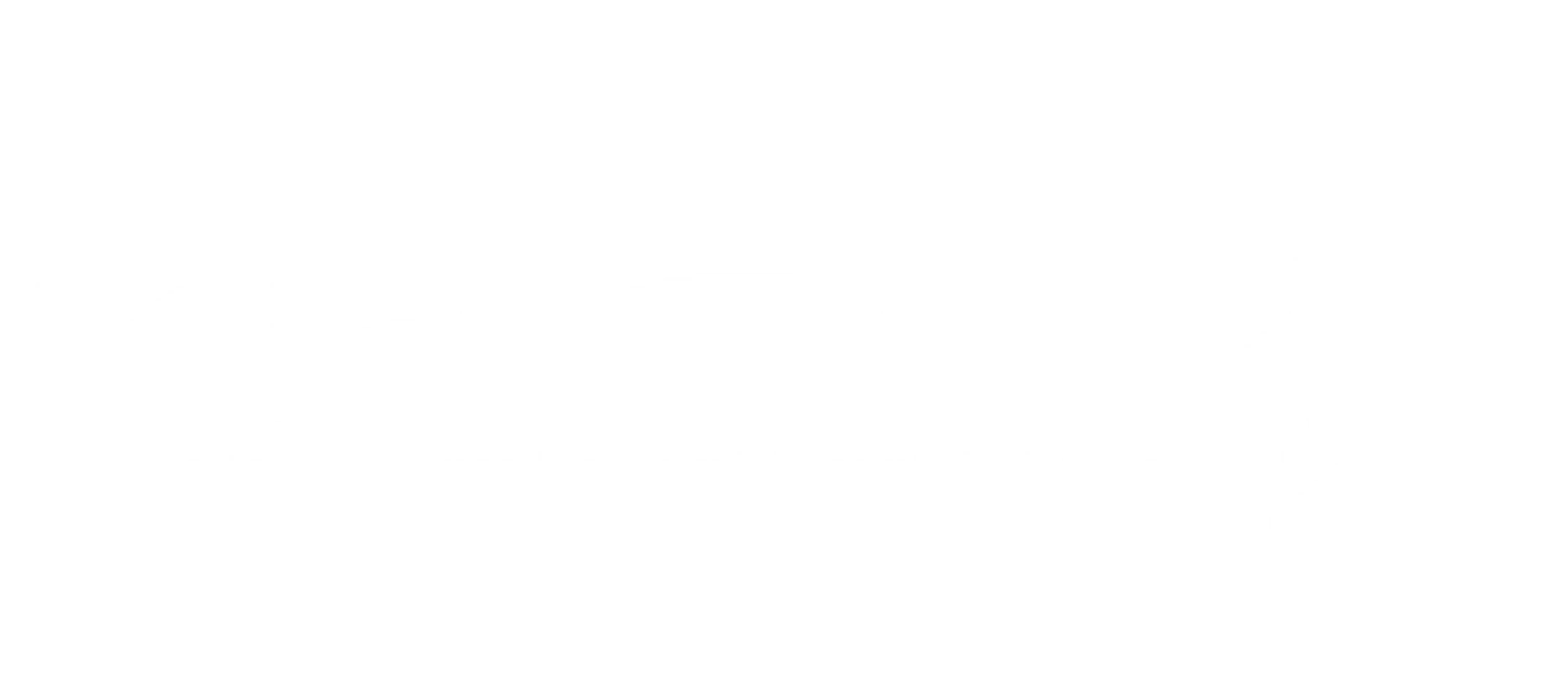 Kim Tech