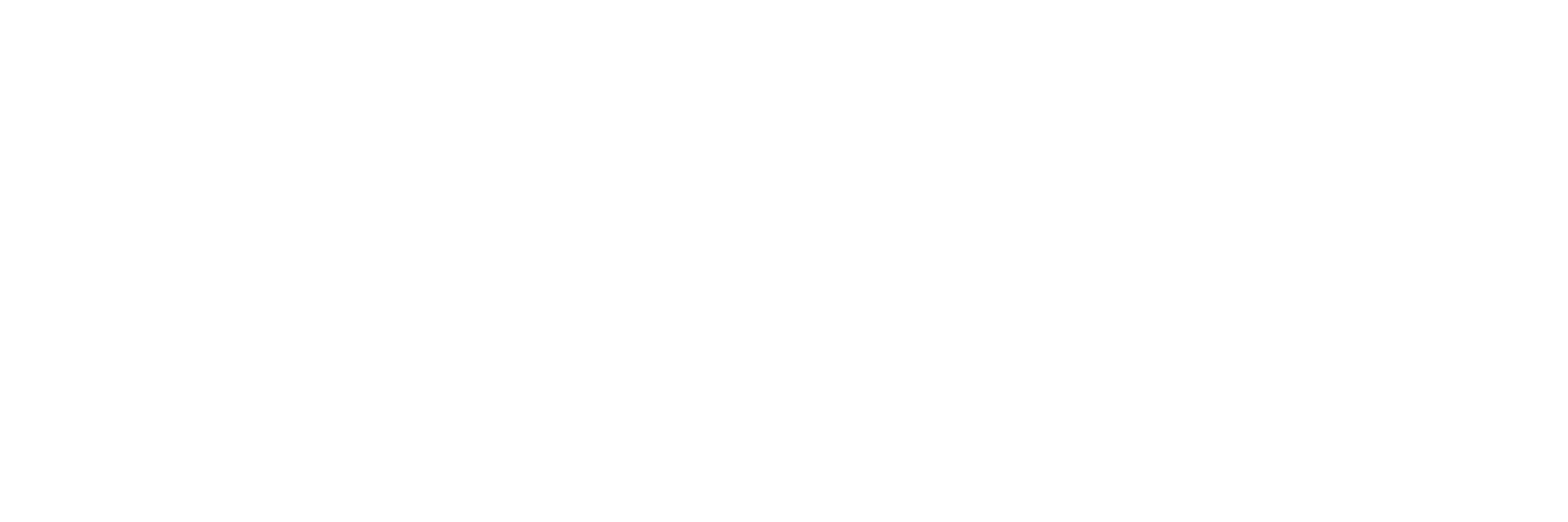 Digitalna Generacija